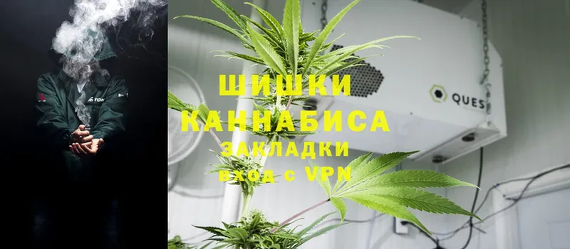 Бошки Шишки Ganja  Пошехонье 